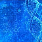 Into the Wild: Embarking on Epic Outdoor Expeditions and Nature Retreats